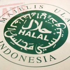 sertifikasi-halal-gratis